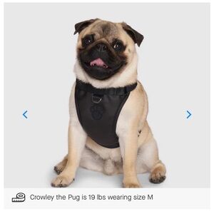 Canada Pooch Black Faux Leather Eco+ Everything Harness XL